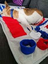 Dog Puzzle Toys Feeder Snuffle-Mat Food-Intelligence-Toy Puppy Slow-Dispensing Training-Games