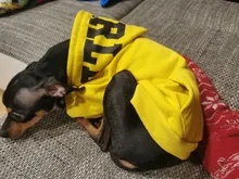 Dog Hoodies Jacket Costume Coat French Bulldog Chihuahua Winter for Pets-Clothing