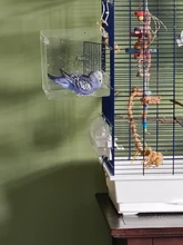 Bird Bathtub Cockatiel Shower Parrots Acrylic Cage Pet-Supplies Parakeets with Hanging-Hooks