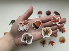 45 unids/caja varios pegatinas lindo Kawaii planificador diario, álbum de recortes diario pegatinas de papel de papelería