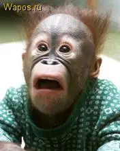 De moda Triskel Triskelion colgantes y collares para mujeres Acero inoxidable Allison Argent Teen Wolf collares para hombre, joyería de regalo