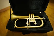 Instrumento Musical profesional Chapado en latón con estuche, Bb Tune Flugelhorn, producto Real, envío gratis