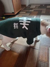Sweatshirt Coat Puppy Yorkies Dog Chihuahua Cotton Fish-Bone-Print for Small Cats Cozy