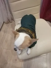 Pet-Dog-Clothes Clothing Coat Jacket Outfit Pets-Puppy-Costume French Bulldog Small Dogs