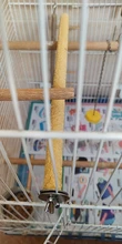 Juguetes Para loros, jaula para percha para pájaros soportes para loros, plataforma para masticar, juguete para masticar, pata de afilar, limpiar, juguetes para pájaros para morder, Color aleatorio, 1 unidad