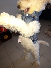 Ropa vaquera de XS-2XL para perro, abrigo para perros, ropa de cachorro, pantalones vaqueros para perro, chaqueta, chaleco abrigo para perro, trajes para cachorro, ropa para gato