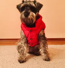 Vest Jacket Dog-Coat Pet-Dog French-Bulldog Warm Dogs-Chihuahua Small Fleece Winter Large