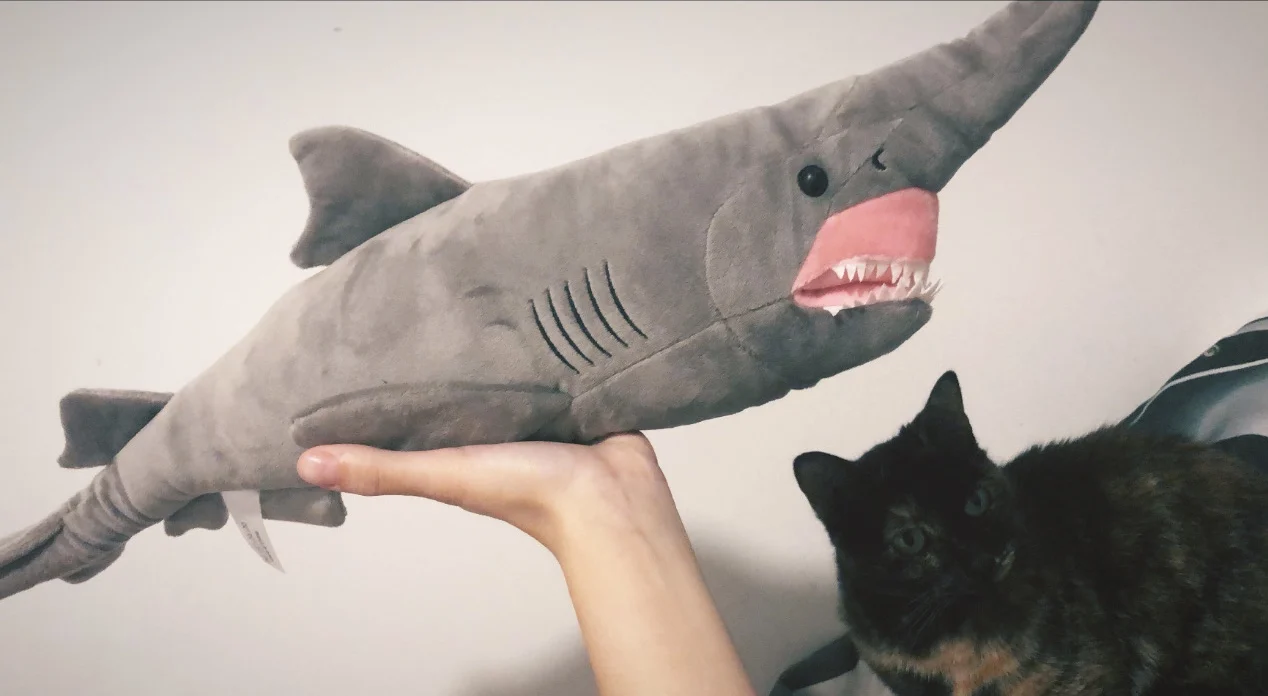 Peluche Requin Lutin