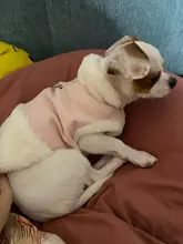 Jacket Pet-Coat French-Bulldog For Chihuahua Puppy-Vest Warm Dog Mascotas Winter Small