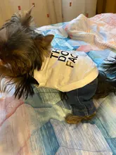 Chaleco para perros, ropa de verano, ropa para cachorros, disfraz de bulldog Francés schnauzer, Camiseta de algodón