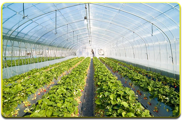 Система отопления почвы в теплицах Green Box Agro 14GBA 300Вт площадь обогрева 3м2|Садовые