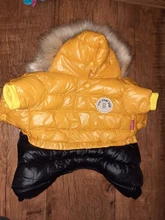 Jacket Bulldog-Clothing Pet-Coat Puppy Dogs Pug Chihuahua French Waterproof Winter Small