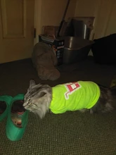 Camiseta con estampado para mascotas, chaleco de algodón para cachorros y gatos, ropa de Pug, Disfraces para perros pequeños