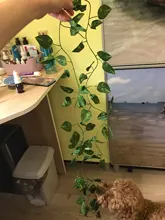 2M Scindapsus Aureus Artificial vino para Terrario de Reptiles camaleón, lagarto, hábitat terrario Scindapsus terrario Decoración