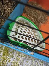 Hámster para mascotas gato conejo esquina baño basura bandejas limpio interior entrenamiento para caja de arena para mascotas bandeja para Animal PEQUEÑO mascotas