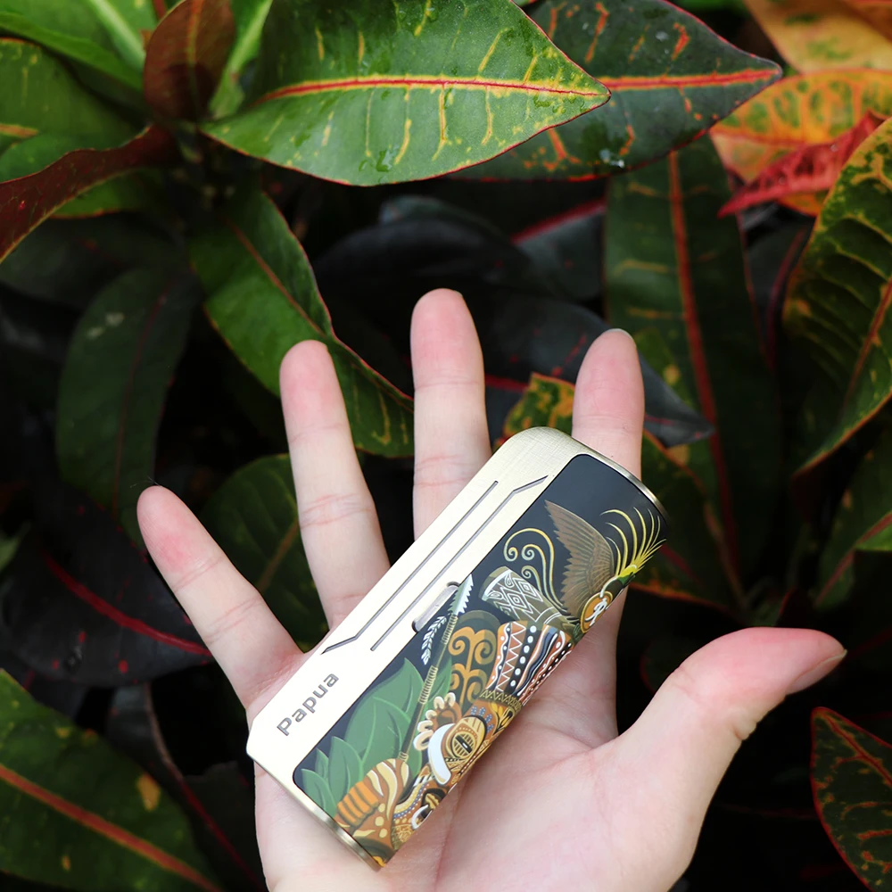 Hippovape Papua 100 Вт VW Box MOD Power by 18650/20700/21700 аккумулятор и водонепроницаемый чипсет vs Kudos/GEN