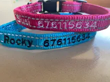Airuidog de Nylon ajustable Collar de perro bordado acolchado Collar para cachorro perro ID Collar reflectante