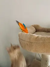 Cat-Stick Toys-Set Teaser Funny Kitten Training-Rod Pet-Supplies Exercise Pets Retractable