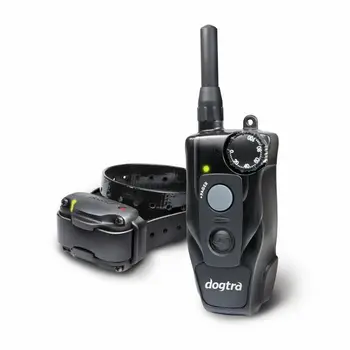 

Dogtra 610C training 600 meters