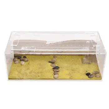

Anthill Education Ants's Big-farm cottage with Queen Shipping (Anthouse .com)