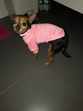 Ropa de Perro para perros pequeños de Jersey para Perro Ropa para perros de invierno Ropa de Chihuahua clásico mascota traje de Ropa Perro 20-22S1