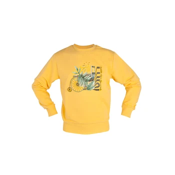 

BiggDesign Nature Bicycle in Bosphorus Men Sweatshirt-Small Size