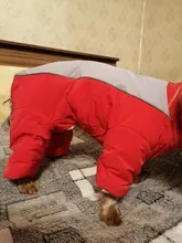 Winter Overalls for Dogs Warm Waterproof Pet Jumpsuit Trousers Male/ Female Dog Reflective