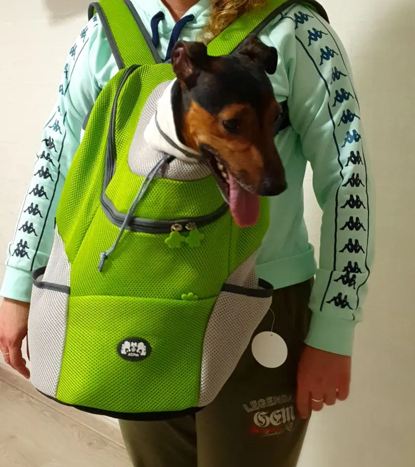 Front Backpack Pet Carrier