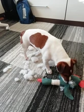 Dog-Toys Chew-Supplies Puppy Sound Dogs Wild Plush Cleaning Teeth Cartoon for Goose Resistance-To-Bite-Squeaky