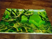 Aquarium Landscape Backdrop Sticker Poster Fish-Tank Sea-Plants 3D Double-Sided-Ocean