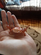 Japoneses nuevos creativos lindo cangrejo pluma titular halterofilia cangrejos Penholder estante soporte de almacenamiento regalo papelería