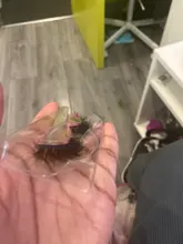 Pestañas de visón de 10-25mm, pestañas esponjosas 3d de visón, Maquillaje espectaculares, largas y naturales, extensión de pestañas al por mayor