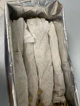 Bolsa de plantación de hierba de gato orgánica sin tierra, Kit de cultivo de aperitivos, hierba de gato, germinación de brotes para niños