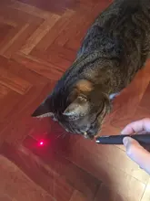 Láser LED de punto rojo de 5MW para gatos, juguete para gatos, 530Nm, 405Nm, 650Nm, puntero láser interactivo