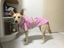 Jacket Raincoats Puppy-Clothes Pets Reflective Dog Small Waterproof Outdoor Large Breathable