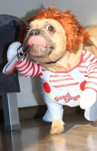 Dog Cosplay Costume-Sets Clothing Bulldog Funny Halloween Pug Large Medium for Adjustable