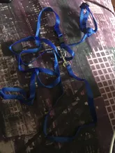 Harness Leash Traction Cats-Products Cat-Collar Pet Nylon Kitten Adjustable Gato