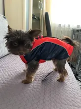 Coat Pet-Dog-Jacket Dogs French Bulldog Waterproof Chihuahua Winter Puppy-Vest Small