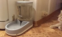 HOOPET Food Storage Pet Automatic Feeder Dog for Cat Drinking Bowl for Water Feeding