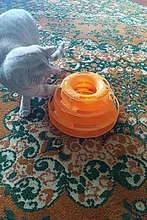 Toy Pet-Toy-Ball Carousel-Ball Track Cat-Supplies Three-Layer-Tower Baby Automatic