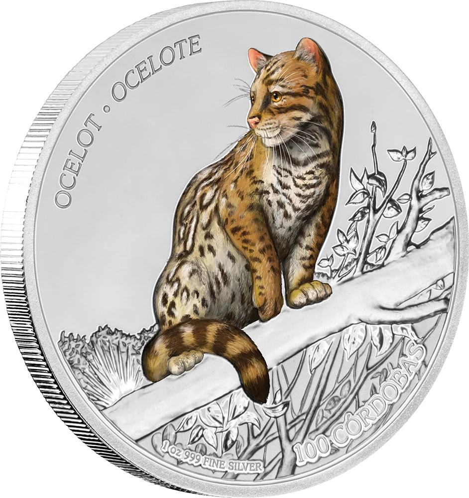 OCELOT дикая природа 1 унция Серебряная Монета 100 Cordobas Nicaragua
