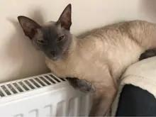 c***c