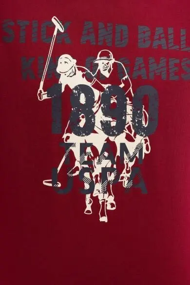 U.S. POLO ASSN. Обычная Толстовка