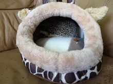 Bed Pet-House Hamster Hedgehog-Squirrel Guinea-Pig Small Nest Kawaii Warm Soft Cartoon-Shape