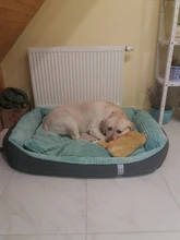 Bed Pet-Bed Labradors-House HOOPET Small Large Soft Warm Winter for Medium Big