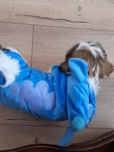 Invierno cálido Gato ropa de perro para perros pequeños de algodón de dibujos animados traje de mascota Sudadera con capucha Pug Chihuahua abrigo chaqueta cachorro ropa traje