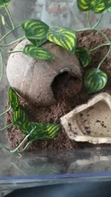 Vid Artificial reptil lagarto terrario decoración camaleones subir resto plantas hojas