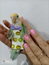 Pañales con pajarita para loros y pájaros, traje de vuelo Floral con fruta colorida, ropa para pájaros pequeños y medianos