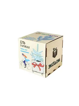 

Set for growing artcoolpresent "fir blue"