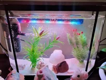 Aquarium Lighting Lamp Submersible-Light Fish-Tank Underwater 24-54CM